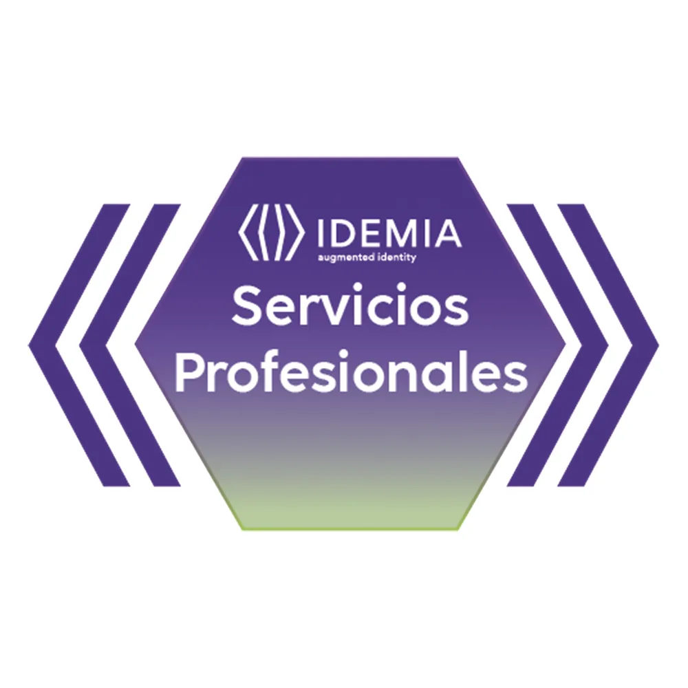REMOTE ASSISTANCE JUNIOR 4 HORAS
